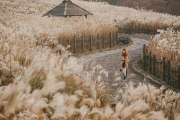 Rời xa phố thị náo nhiệt, khám phá đảo Jeju - 'thiên đường tình yêu' của Hàn Quốc
