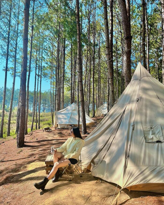 PineForest Camping là khu glamping ở Đà Lạt được nhiều bạn trẻ săn đón
