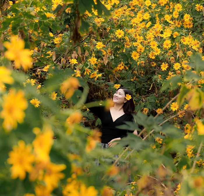 Kinh nghiệm đi Khu du lịch sinh thái Thung Nham rằng ở đây có cả hoa dã quỳ