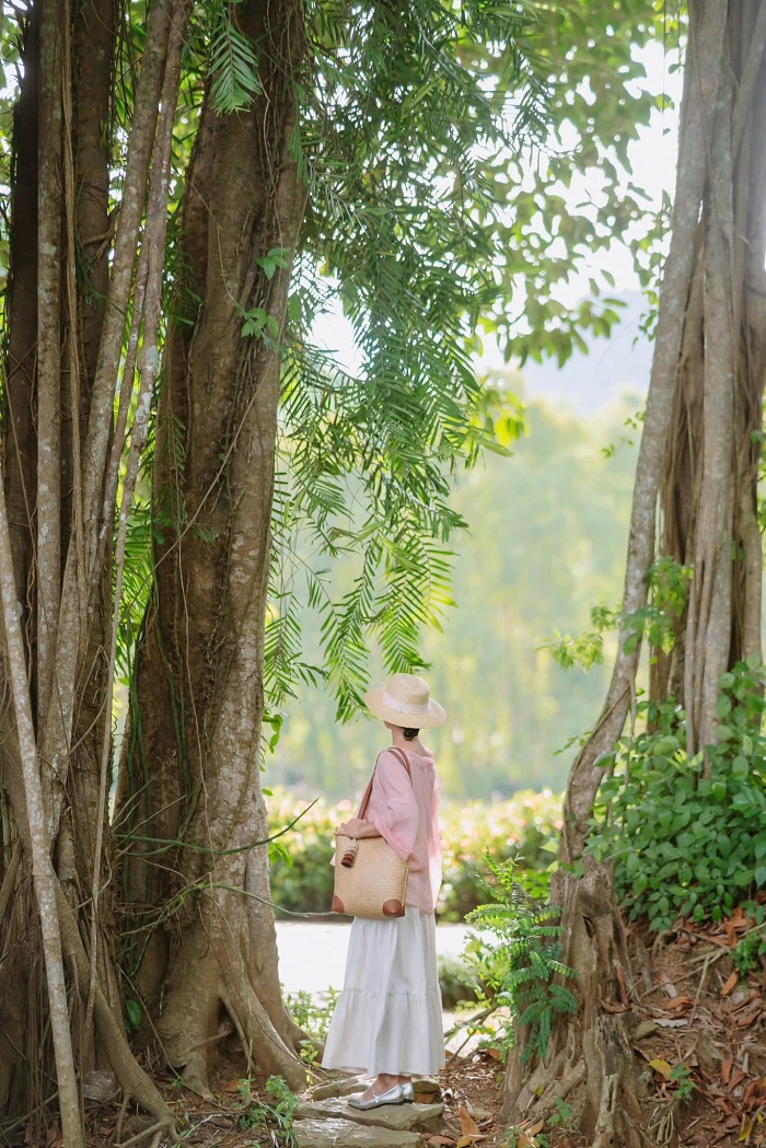 Kinh nghiệm đi Khu du lịch sinh thái Thung Nham có cây đa di chuyển sừng sững bao đời nay