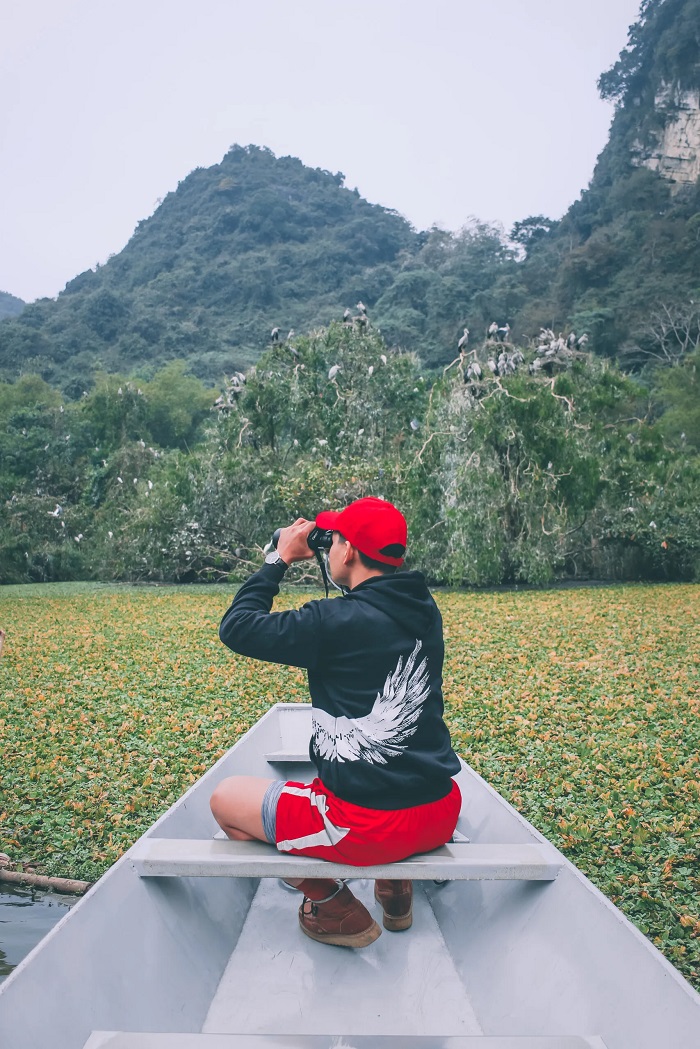 Kinh nghiệm đi Khu du lịch sinh thái Thung Nham là nơi sinh sống của nhiều loài chim