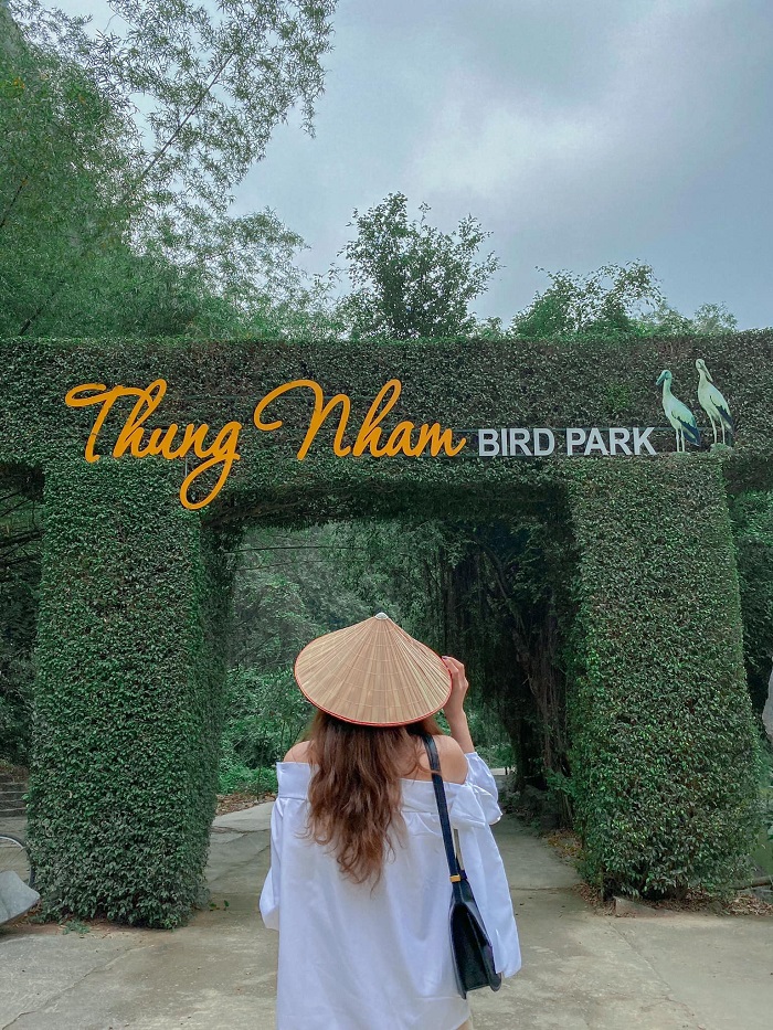 Nhất định phải thăm vườn chim với Kinh nghiệm đi Khu du lịch sinh thái Thung Nham 