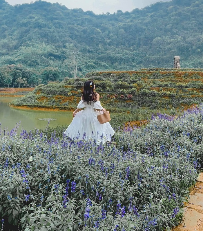 Thiên đường hoa với đủ các loài hoa khoe sắc theo kinh nghiệm đi Khu du lịch sinh thái Thung Nham 