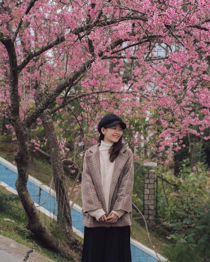 Kinh nghiệm du lịch Đà Lạt 3 ngày 2 đêm tự túc - Thời điểm du lịch lý tưởng trong năm