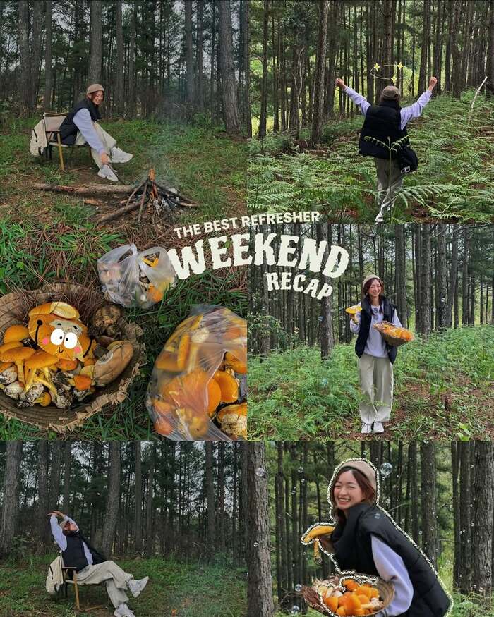 Kinh nghiệm du lịch Đà Lạt 3 ngày 2 đêm tự túc - Thời điểm du lịch lý tưởng trong năm