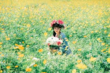 Địa điểm du lịch Tết ở Việt Nam hấp dẫn vi vu đầu năm ngắm trọn non nước