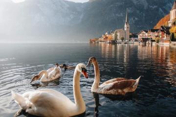 Du lịch thị trấn Hallstatt Áo - một trong những ngôi làng cổ nhất châu Âu