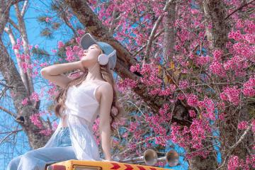 Du lịch mùa hoa đào Đà Lạt: Bỏ túi những điểm nhất định phải check in