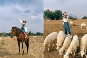 [Cập nhật] Cẩm nang du lịch vi vu đồng cừu suối Nghệ Vũng Tàu thành phố Hồ Chí Minh, săn ảnh không thua gì trời Âu