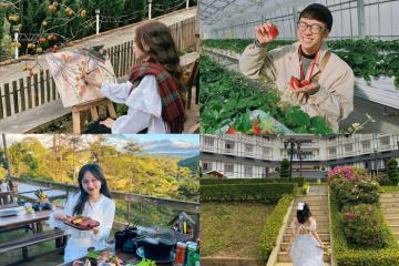 Kinh nghiệm du lịch Đà Lạt 3 ngày 2 đêm tự túc: ‘Kim chỉ nam’ giúp bạn khám phá trọn vẹn thành phố ngàn hoa trong một nốt nhạc