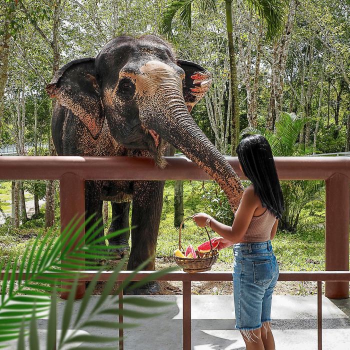 cẩm nang du lịch Phuket