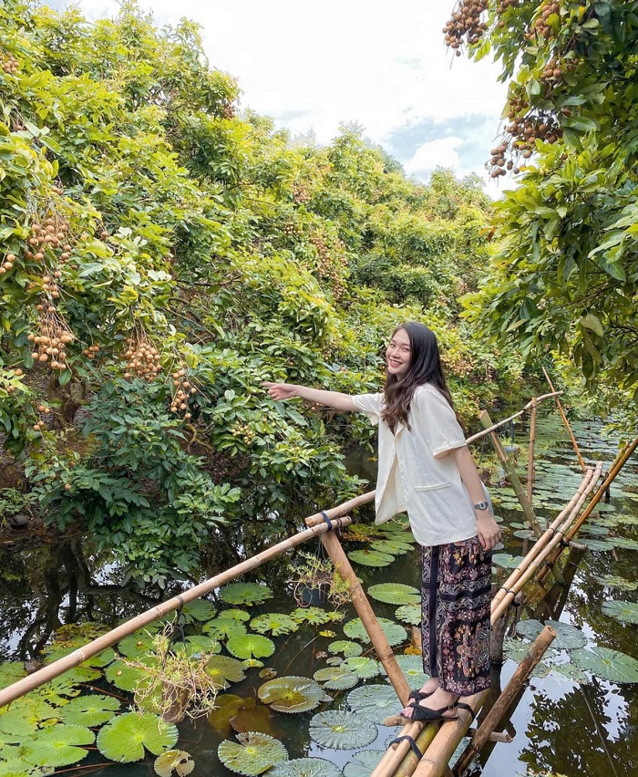 Đi cầu khỉ trong Lịch trình du lịch Cồn Sơn Cần Thơ 