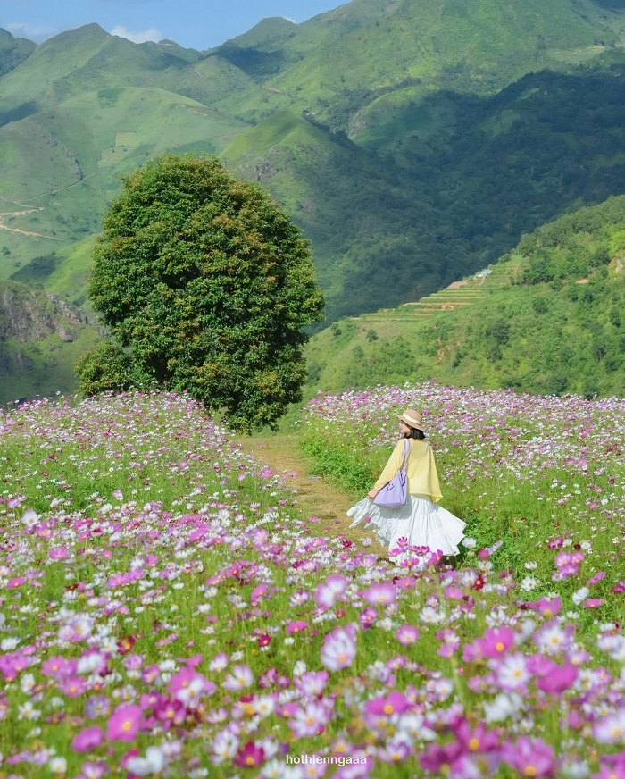 Bỏ túi lịch trình du lịch Hà Giang 3 ngày 2 đêm