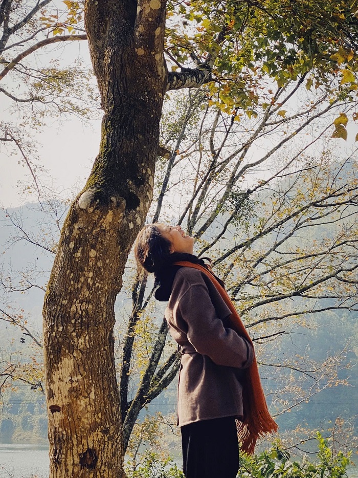 Khung cảnh xung quanh Mùa lá đỏ hồ Bản Viết Cao Bằng thay đổi theo mùa