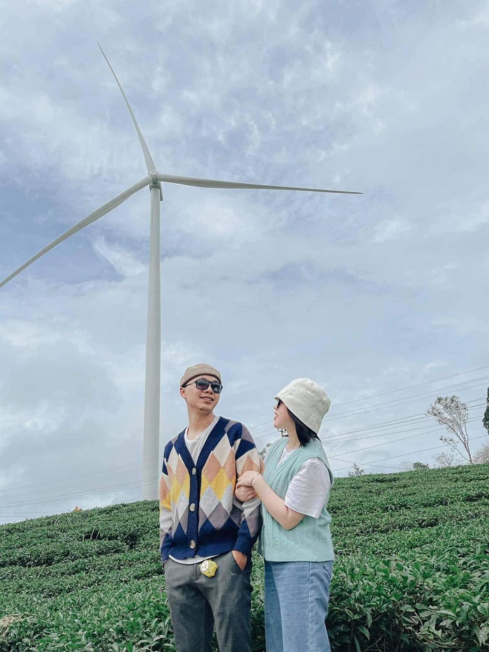 Khám phá đồi chè Cầu Đất ngay sát Vườn Châu Âu Đà Lạt