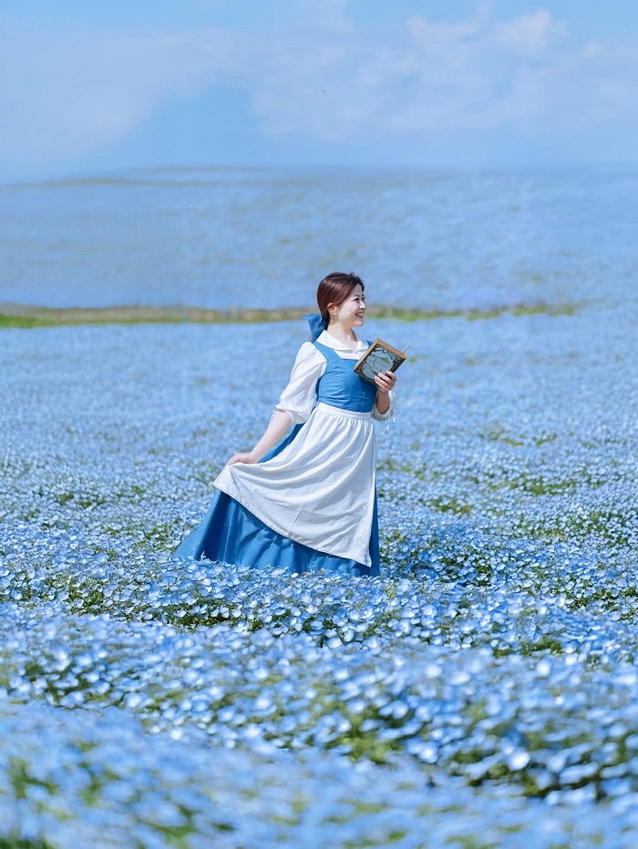 Hitachi Seaside Park là một trong những cánh đồng hoa đẹp nhất châu Á lên hình siêu đỉnh