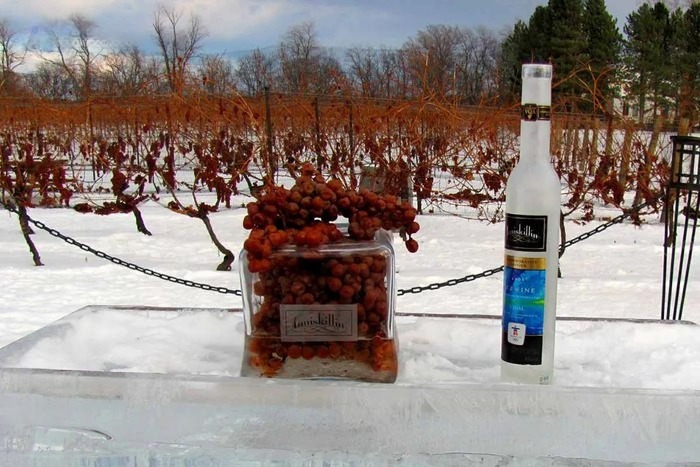 Du lịch Canada mùa đông - Các lễ hội mùa đông nổi tiếng ở Canada