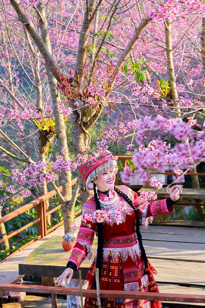 Thuê trang phục dân tộc để chụp ảnh với mùa hoa tớ dày Mù Cang Chải đẹp nhức nách