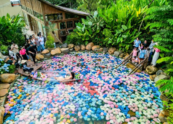 Cách di chuyển đến quán cà phê hoa cẩm tú cầu tại HCM