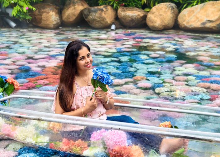 Phí chụp hình tại quán cà phê hoa cẩm tú cầu tại HCM