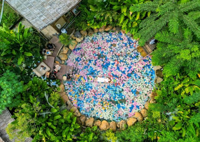 Quán cà phê hoa cẩm tú cầu tại Hồ Chí Minh