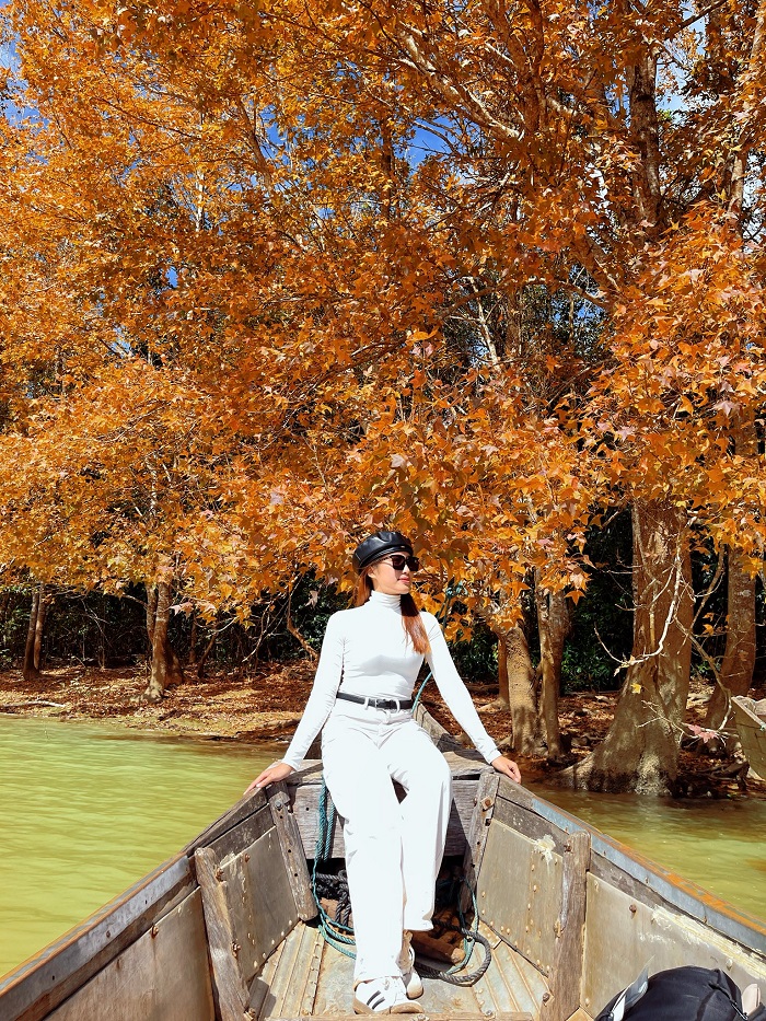 Tới rừng phong Khe Sanh Quảng Trị tha hồ có ảnh đẹp mang về