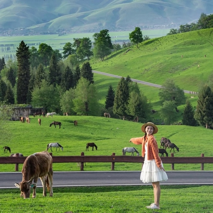 Nalati là một trong những thảo nguyên đẹp nhất Trung Quốc lên hình siêu đẹp