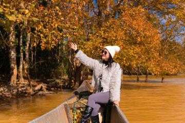 Rừng phong Khe Sanh Quảng Trị đang chuyển đỏ đẹp như phim Hàn Quốc