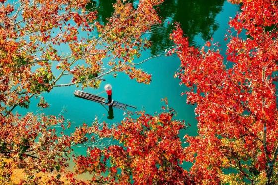 Mùa lá đỏ hồ Bản Viết Cao Bằng đẹp như trong tranh