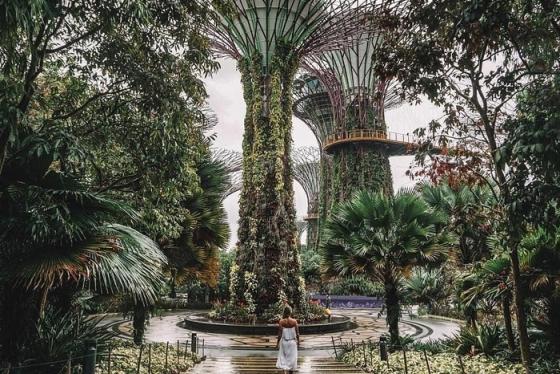 Cẩm nang du lịch Singapore: Hành trình khám phá Đảo quốc Sư tử