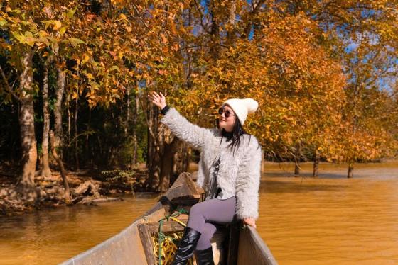 Rừng phong Khe Sanh Quảng Trị đang chuyển đỏ đẹp như phim Hàn Quốc