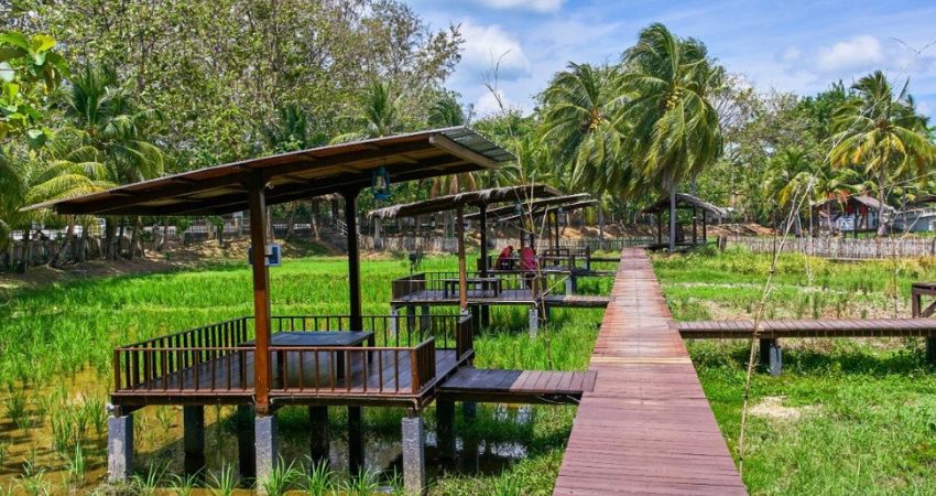 Bảo tàng Lúa Langkawi - cẩm nang du lịch Pantai Cenang Malaysia