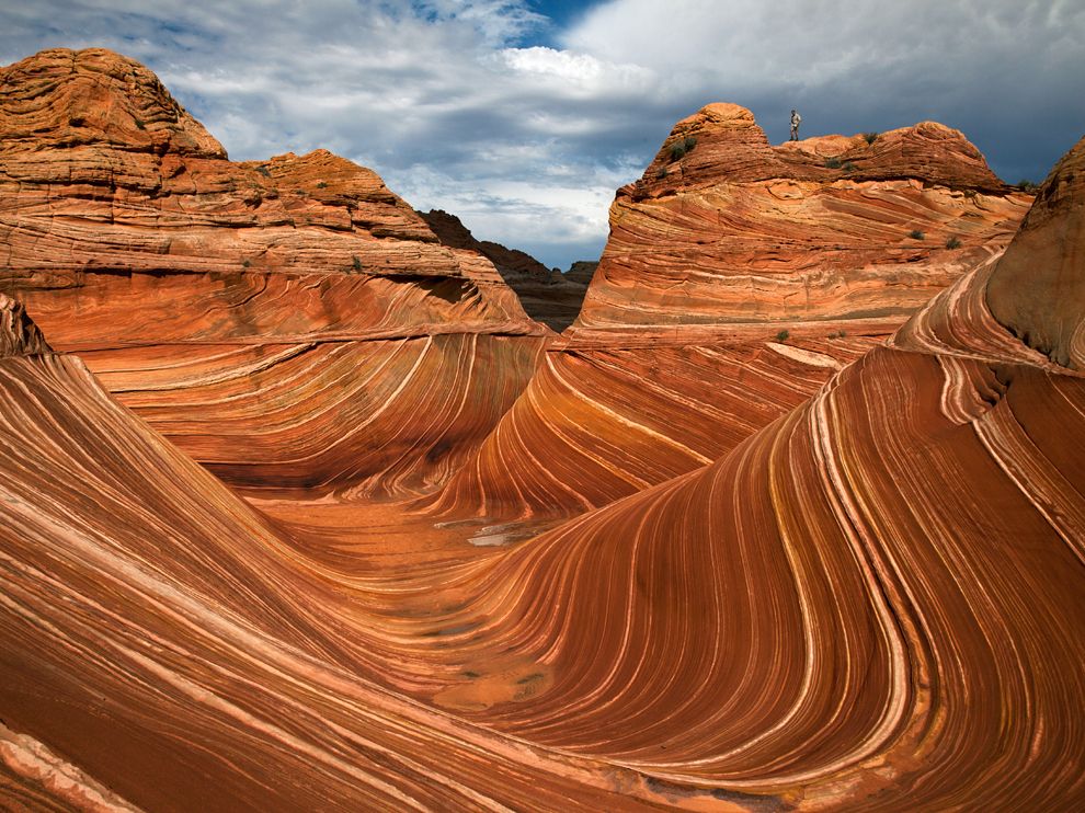 Colorado Plateau, Paria Canyon, Utah бесплатно