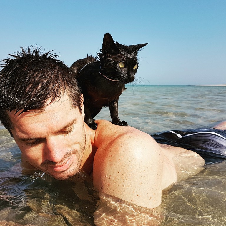 Đến Úc gặp gỡ nàng mèo đam mê bơi lội