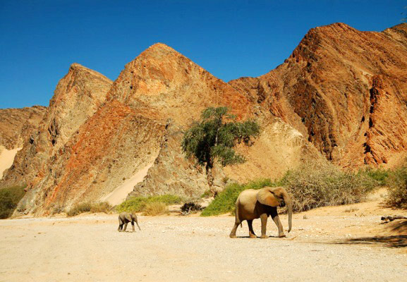 Hành trình đầy mê hoặc tới Namibia
