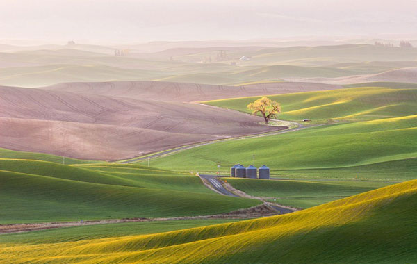 Đẹp m&ecirc; hồn c&aacute;nh đồng cỏ bất tận ở Mỹ