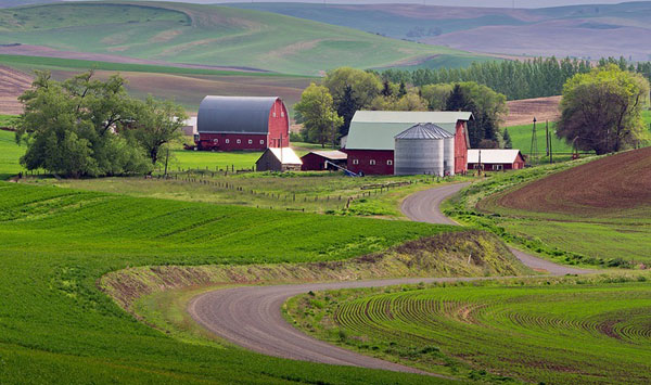 Đẹp m&ecirc; hồn c&aacute;nh đồng cỏ bất tận ở Mỹ
