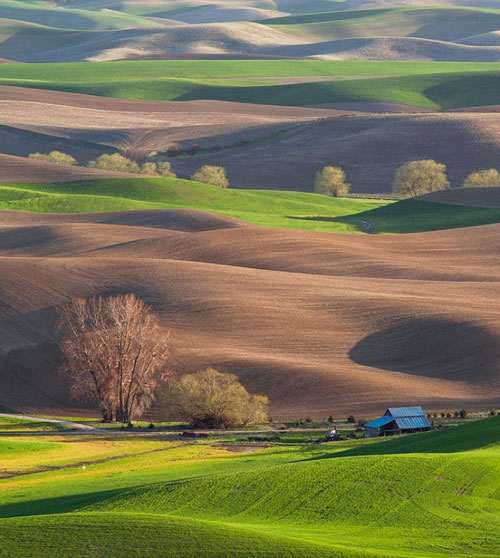 Đẹp m&ecirc; hồn c&aacute;nh đồng cỏ bất tận ở Mỹ