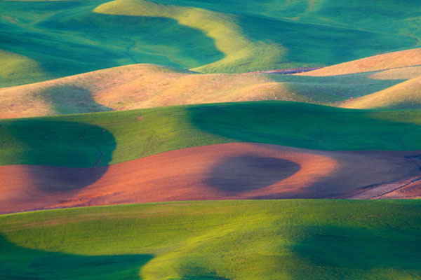 Đẹp m&ecirc; hồn c&aacute;nh đồng cỏ bất tận ở Mỹ