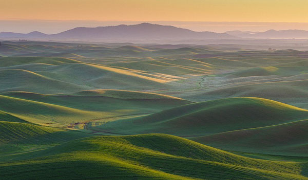 Đẹp m&ecirc; hồn c&aacute;nh đồng cỏ bất tận ở Mỹ