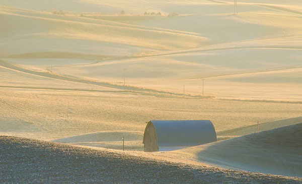 Đẹp m&ecirc; hồn c&aacute;nh đồng cỏ bất tận ở Mỹ