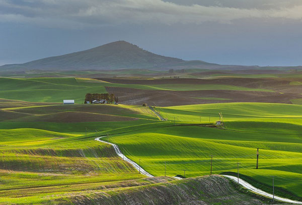 Đẹp m&ecirc; hồn c&aacute;nh đồng cỏ bất tận ở Mỹ