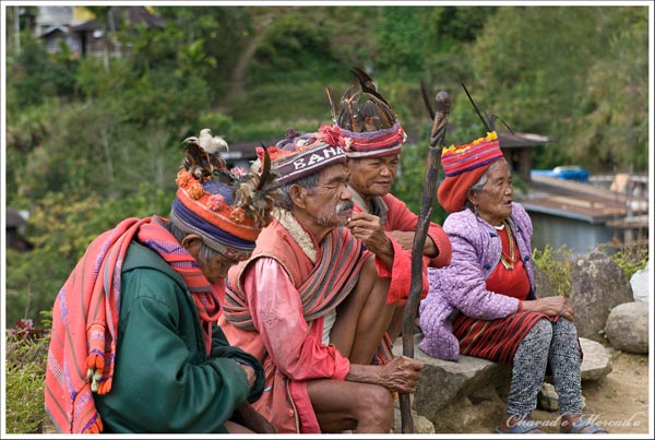 Kỳ quan thứ 8 Thế giới: Ruộng bậc thang Philippines