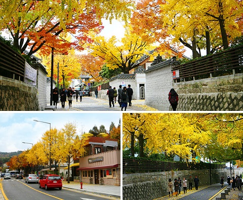 Samcheong Dong Hàn Quốc mùa thu