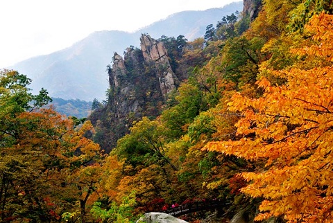 Vườn quốc gia Seoraksan Hàn Quốc