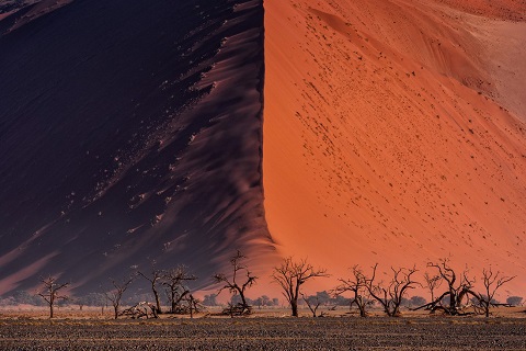 'Bức tường cát' ở sa mạc Namib