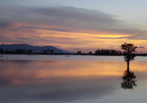 Cảnh sắc Việt Nam lung linh qua g&oacute;c nh&igrave;n độc giả