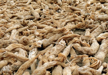 Thưởng thức c&aacute;c m&oacute;n ngon bậc nhất ở Bạc Li&ecirc;u