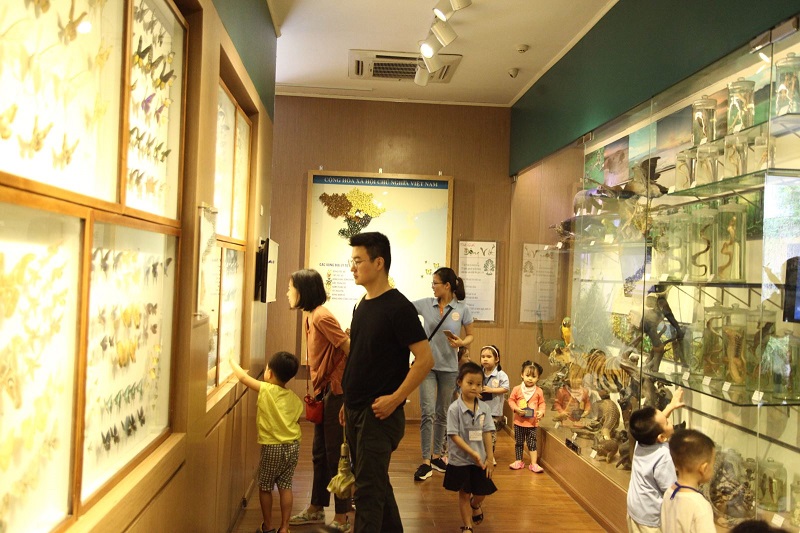 bảo tàng thiên nhiên Việt Nam 
