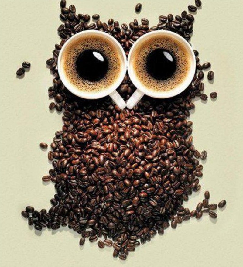 Một chú chim cú được tạo thành từ hạt cafe đã rang và hai tách cafe